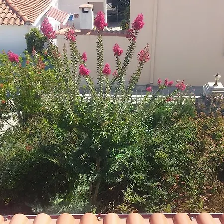 Sotiriou * Limni (Evia)