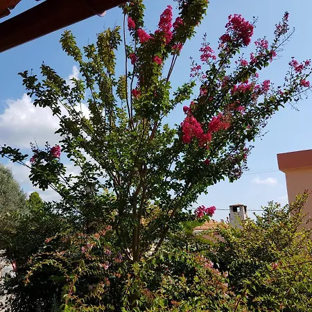 Sotiriou Limni (Evia)